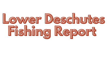 Lower Deschutes Update November 10, 2023