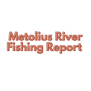 Metolius River Update November 10, 2023