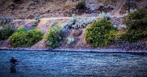 Redington Chromer 6126 Review