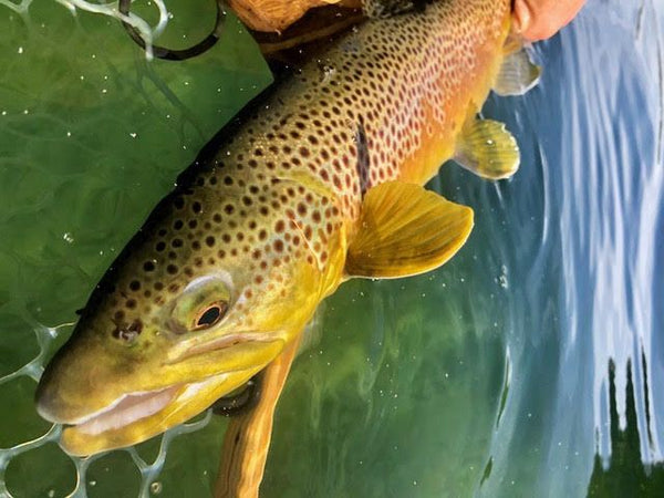 Mid-November On East Lake
