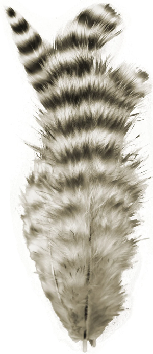 Spirit River UV2 Grizzly Soft Hackle