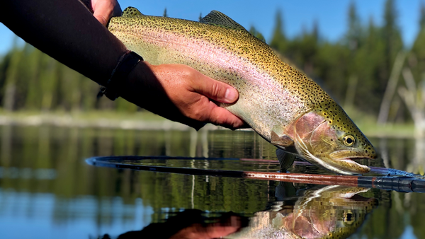 craneprairierainbowtroutlakeflyfishing