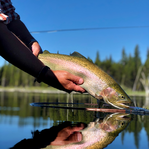 Guided Fly Fishing Trips in Central Oregon – Fly and Field Outfitters