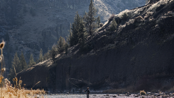 crookedrivertroutfishing