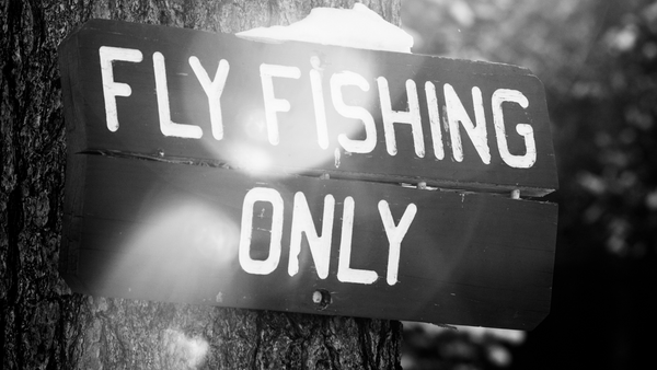 fall river fly fishing oregon 