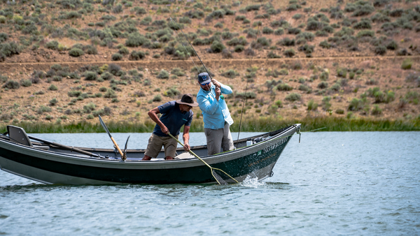 guided private lake fly fishing adventures grindstone