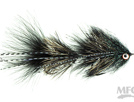 MFC Blanco's Heisenberg - Black