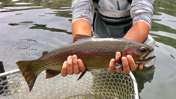 bigrainbowdayfloatdeschutesriver