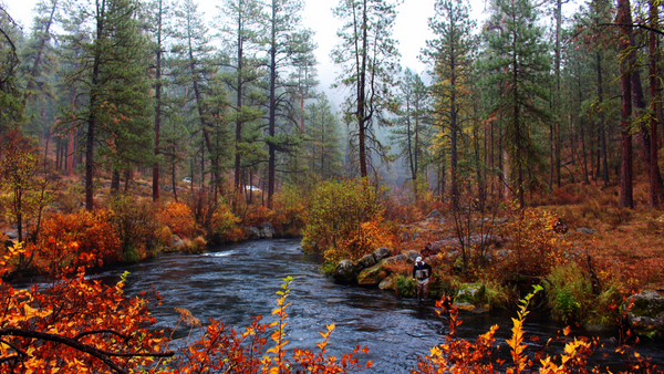 metolius river fly fishing info