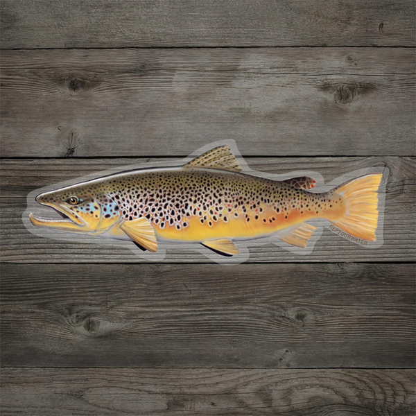 Rep Your Water Brown Trout Sticker
