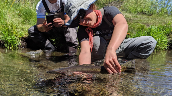 deschutesupperflyfishbowsbrownsbrooks