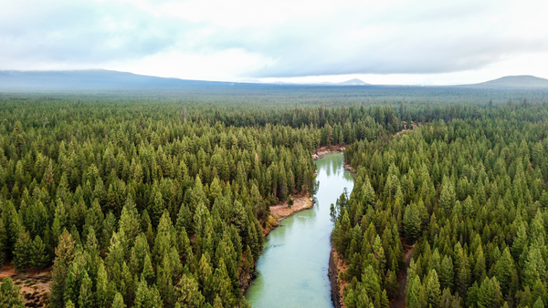 upperdriverflyfishadventures