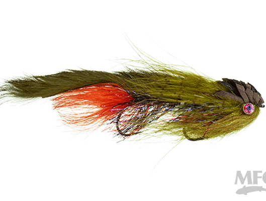 Wise's Knucklehead Deep - Brookie