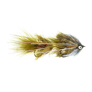 MFC Blanco's Heisenberg - Baby Bow