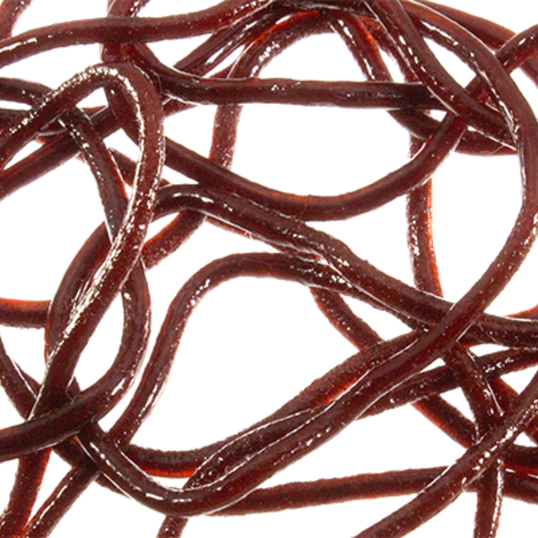 MFC - Trina's Squirm Material