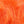 Hareline Dubbin Marabou Blood Quills