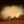 Hareline Dubbin Marabou Blood Quills