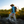 Fishpond Ridgeline Tech Pack