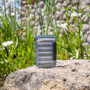 Double Sided Foam Fly Box - Shop