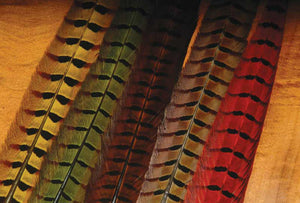 Hareline Dubbin Ringneck Pheasant Tail Feathers - Fly and Field Outfitters - Online Flyfishing Shop