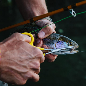 Loon Classic Forceps