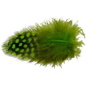 Spirit River UV2 Large Eye Guinea