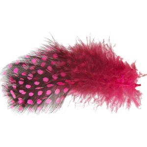 Spirit River UV2 Large Eye Guinea