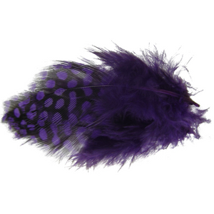 Spirit River UV2 Large Eye Guinea