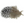 Spirit River UV2 Large Eye Guinea