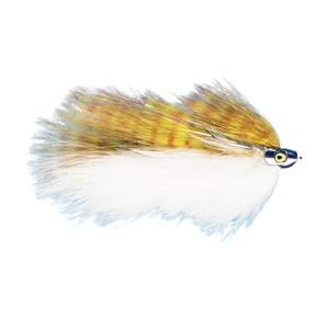 Galloup's Barely Legal (Fish Skull)