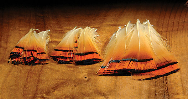 Hareline Dubbin Golden Pheasant Tippets - Fly and Field Outfitters - Online Flyfishing Shop