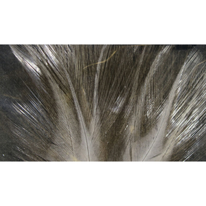 Hareline Dubbin Coq De Leon