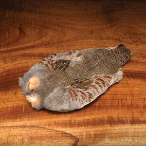 Hareline Dubbin #1 Hungarian Partridge Skin Natural - Fly and Field Outfitters - Online Flyfishing Shop