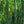 Hareline Dubbin Holographic Flashabou