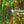 Hareline Dubbin Holographic Flashabou