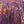 Hareline Dubbin Holographic Flashabou