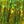 Hareline Dubbin Holographic Flashabou