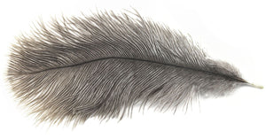 Spirit River Ostrich Plume