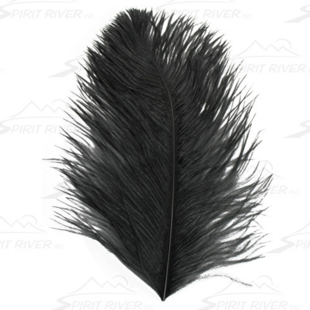 Black ostrich plumes outlet