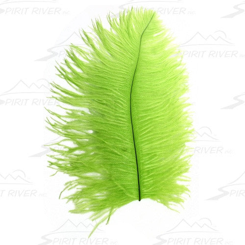 Spirit River Big Bird Ostrich Plume - Fly and Field Outfitters - Online Flyfishing Shop - 3