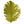 Spirit River Big Bird Ostrich Plume - Fly and Field Outfitters - Online Flyfishing Shop - 6