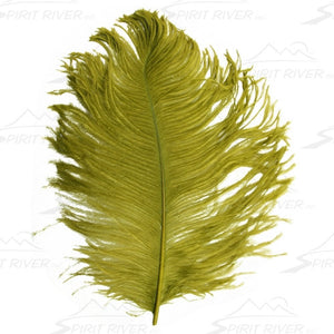 Spirit River Big Bird Ostrich Plume - Fly and Field Outfitters - Online Flyfishing Shop - 6