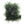 Spirit River Medium Estaz - Fly and Field Outfitters - Online Flyfishing Shop - 3