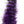 Spirit River UV2 Grizzly Soft Hackle - Fly and Field Outfitters - Online Flyfishing Shop - 5